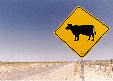 《炼金工房》发布系列25周年纪念影片 更多内容筹备中